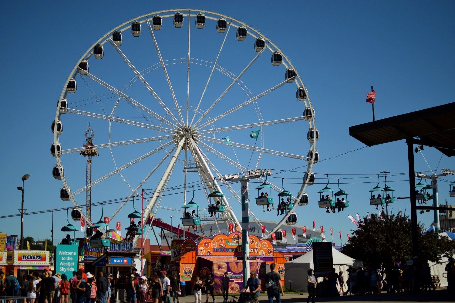 Going to Stampede? Here's what to